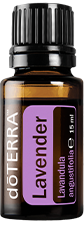 Lavendel