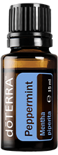 Pfefferminze